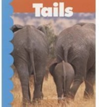 Image of Tails